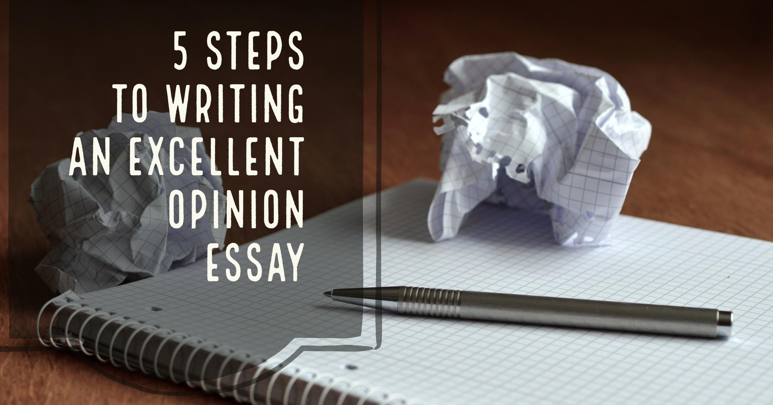 Five Steps to Writing an Excellent Opinion Essay  Blog de Cristina